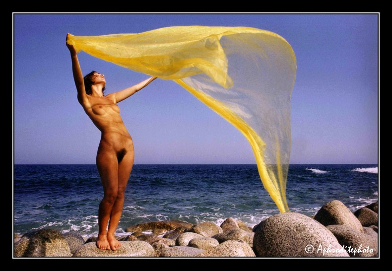 012 Le voile au vent 4 